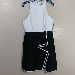 Halston Heritage Size 8